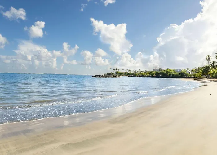 Aqua Terrazas Studio 3 - Beachfront, Pool, Local Fun & Dining